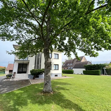 Bonne Idee - Georges - Meuble De Tourisme 4 Etoiles Apartment Chatenois (Bas-Rhin)