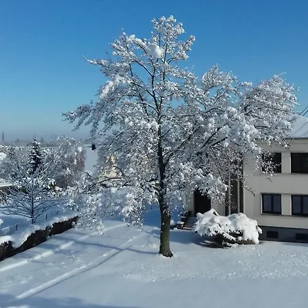 Bonne Idee - Georges - Meuble De Tourisme 4 Etoiles * Chatenois (Bas-Rhin)