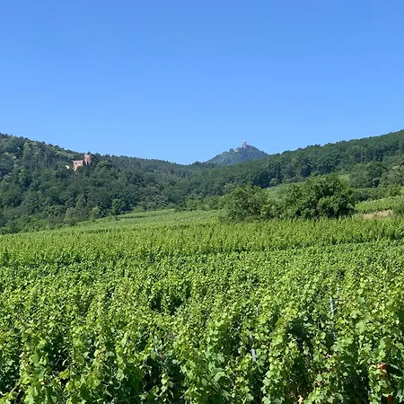 Bonne Idee - Georges - Meuble De Tourisme 4 Etoiles شقة